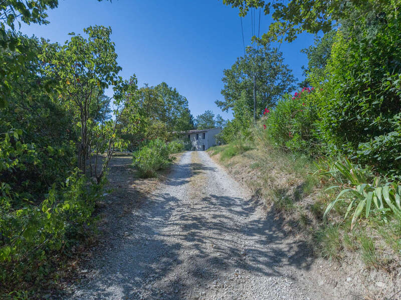 chemin_en_terre